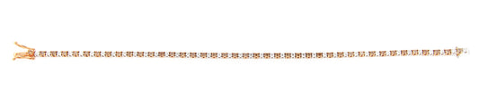 Perfezione Rose Gold Tennis Bracelet w/ White & Brown Diamond